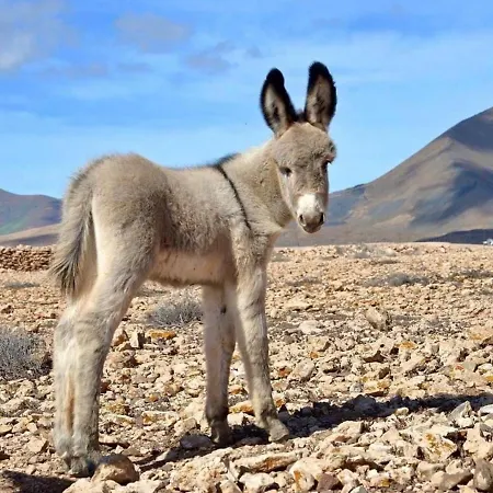 Vistalegre Relax Con Increibles Vistas كاليتا ذي فوستي