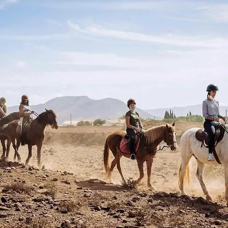 Hébergement de vacances Vistalegre Relax Con Increibles Vistas