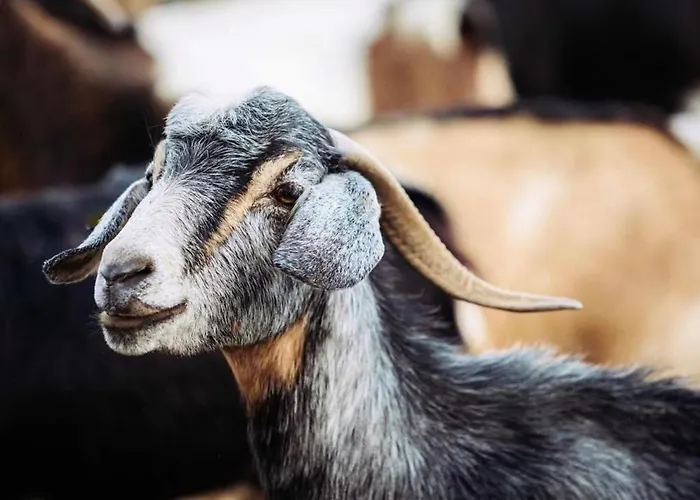 Nyaraló Vistalegre Relax Con Increibles Vistas *