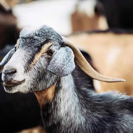 Prázdninový dům Vistalegre Relax Con Increibles Vistas *